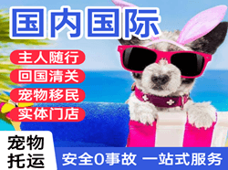 临沂启阳机场邮寄国际宠物托运 【国